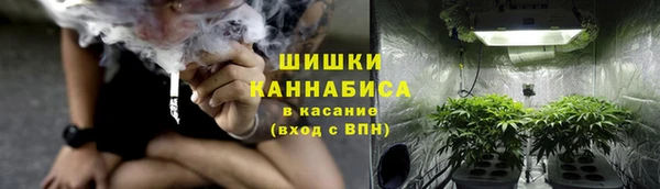 ПСИЛОЦИБИНОВЫЕ ГРИБЫ Баксан